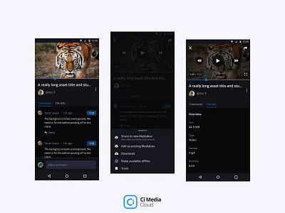Asset Preview app asset assetpreview branding design graphic design iconography illustration interface logo mobile ui ux web