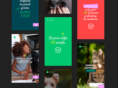 Social Media Templates ALI animals branding costa rica digital marketing identity instagram logo logotype pet social media social media templates spain