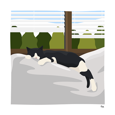 A Cat Taking a Nap illustration