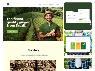 SBG Website Redesign branding ui