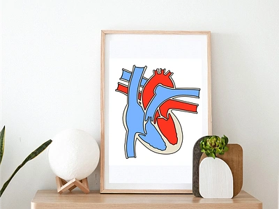 Anatomical diagram of the human heart biology digital art digital drawing digital illustration educational heart hearts human heart illustration logo vector art vector drawing