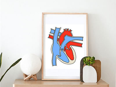 Anatomical diagram of the human heart biology digital art digital drawing digital illustration educational heart hearts human heart illustration logo vector art vector drawing