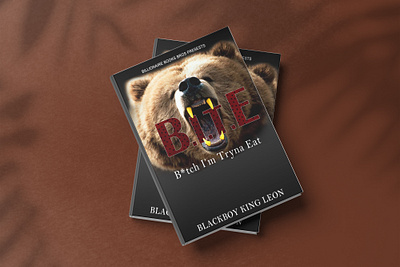 BOOK COVER DESING book cover book design bookcover brand design branding cover ebook ebook cover formatting layoutdesign printbook