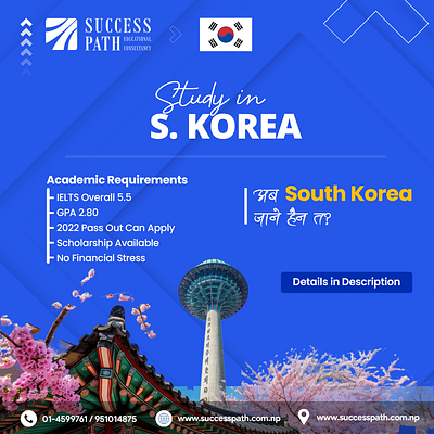 Study in Korea Social Media Post branding consultancy design graphic design illustration social media social media post ui visa service