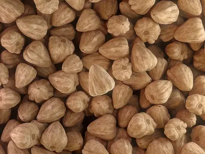 Tropee Bebe Candlenut Oil 2d 2d motion 3d 3d motion design digitalvisual illustration motion graphics product explainer