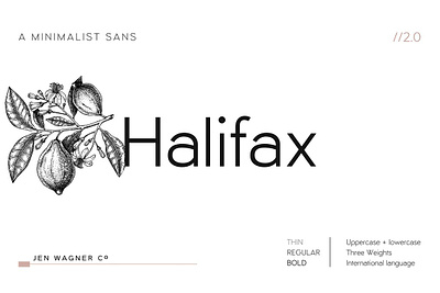 Halifax -UPDATE! A Minimalist Sans logo font minimal minimalist minimalist font minimalistic sans serif website font