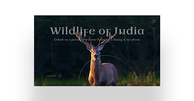 Hero Section For Wildlife branding deer deer website forest hero section forest website graphic design hero section indian forest landing page landing page design ui ui design uiux design website website design wildlife wildlife website