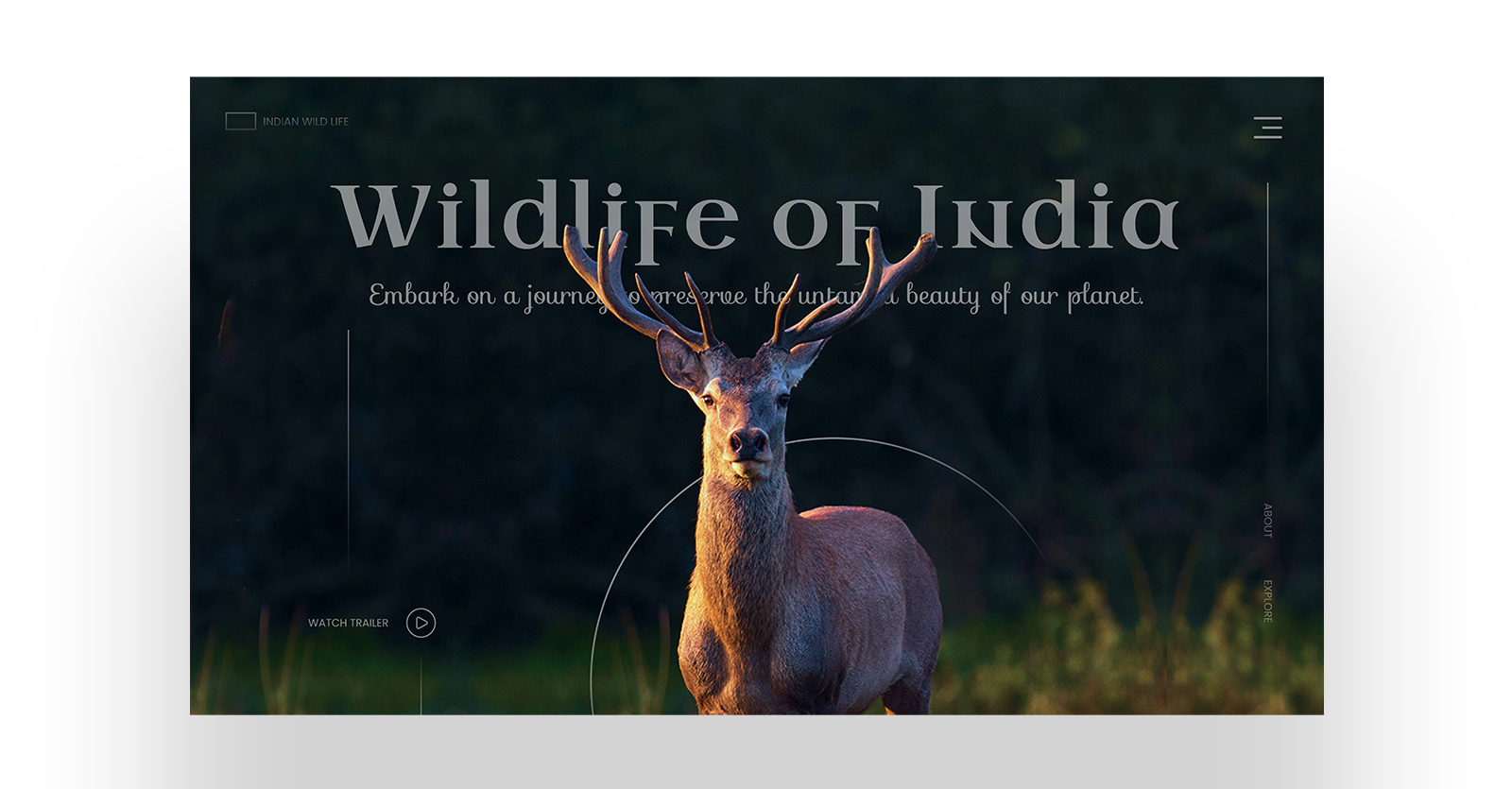 Example of Website Landing Page Design