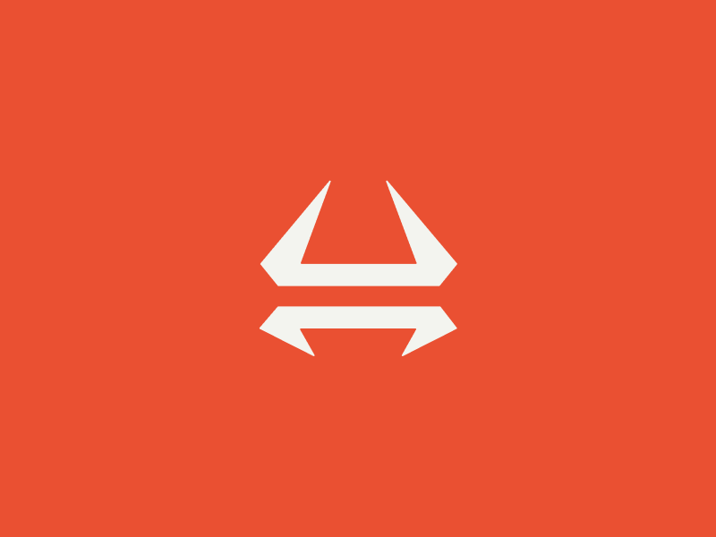 TOROCIMA branding design graphic design iconography identity logo logomark logotype minimal ski snowboard ui ux visual