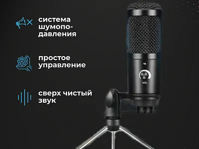 Инфографика "Микрофон"
