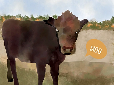 Moo Cow illustration