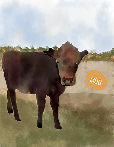 Moo Cow illustration