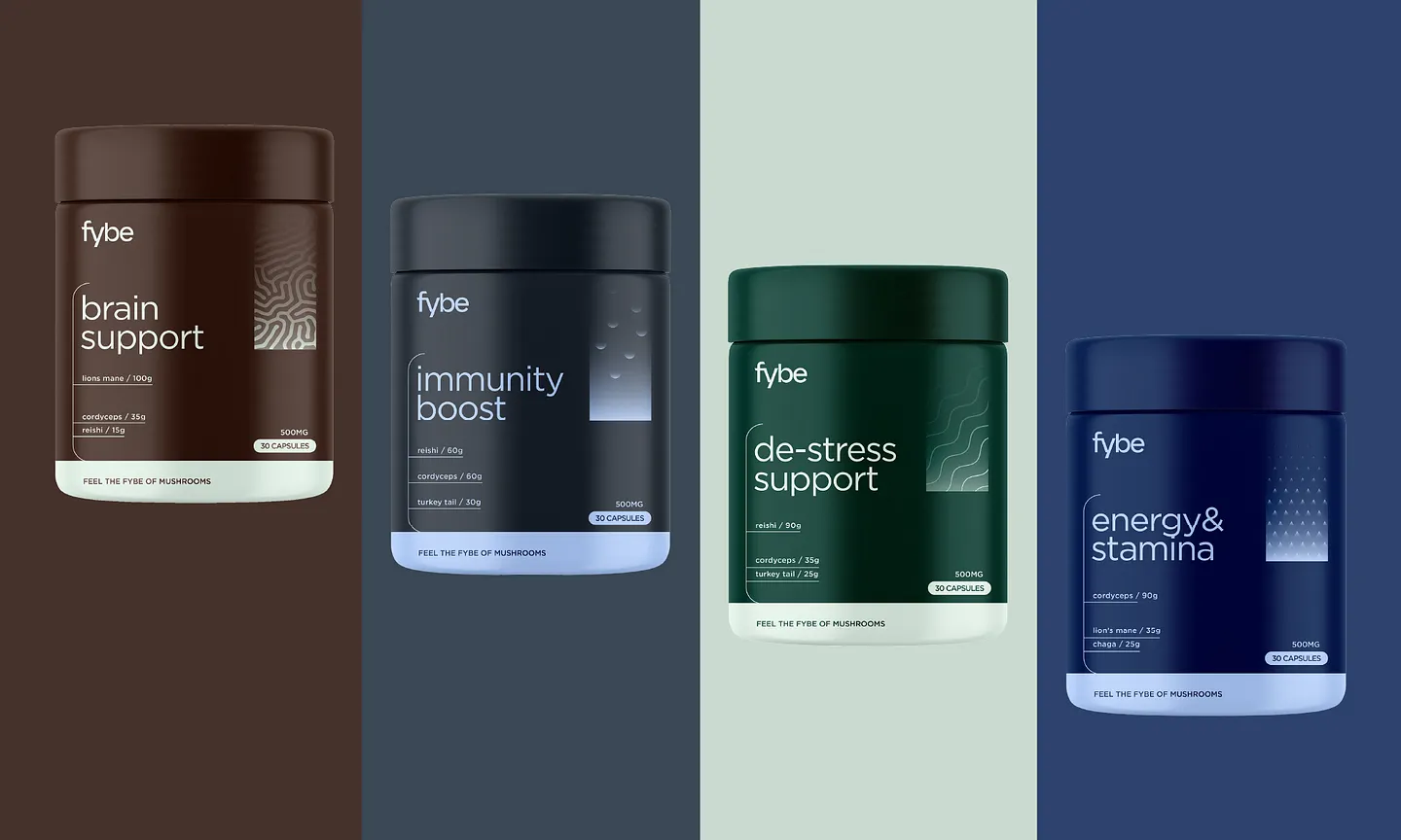 Innovative Supplement Packaging Design for Fybe