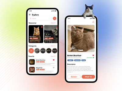 Pet Adoption App - Enhanced UX/UI Design app appdesign branding design figma pet ui uiux user experience web