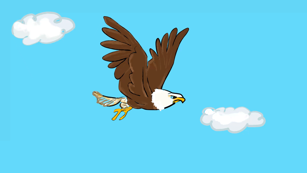 Bald Eagle 2d 2d animation animation branding design frame by frame animation graphic design illustration most viewed motion graphics ui vector