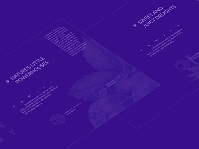 Berries Layout Minimalism Concept berries blueberry dribbble inspiration minimalism summer ui