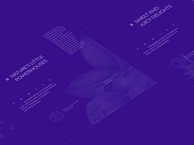 Berries Layout Minimalism Concept berries blueberry dribbble inspiration minimalism summer ui