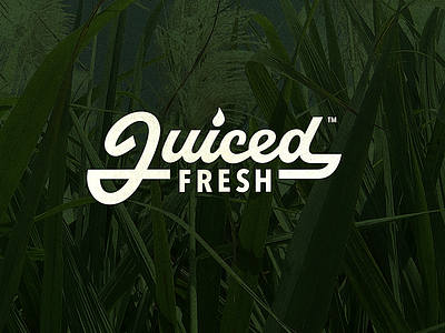 Juiced Fresh authentic branding brushlettering calligraphy custom flow iconic identity juice juiced lettering logo logodesign packaging script type wordmark