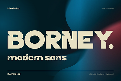 Borney book cover branding display typeface logo type sans serif typeface web design website