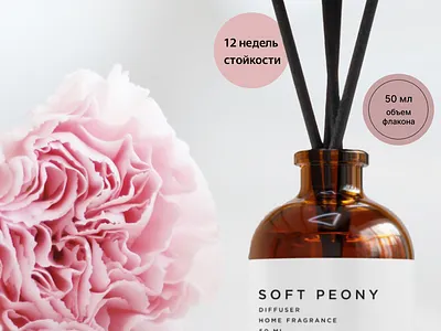 Инфографика "Аромадиффузор"