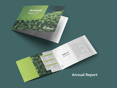 Annual Report 3Bank