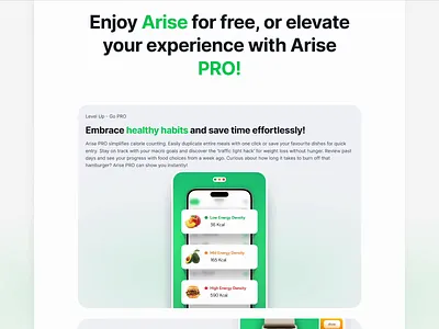 Arise animation branding color design fitness gradiant health landing page pro ui website weightloss