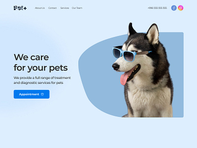 Vet Clinic Website Banner banner ui uxui