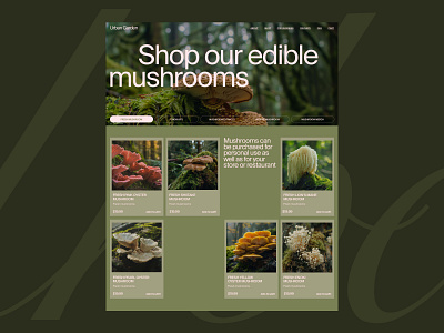 Website Design for E-commerce Rare Edible Mushrooms Brand branding ecommerce ecommercewebsite landingpage typography ui ux web design website