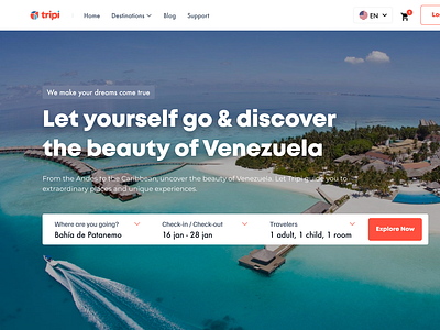 Tripi - Wireframe app product designer travel traveling ui ux web design