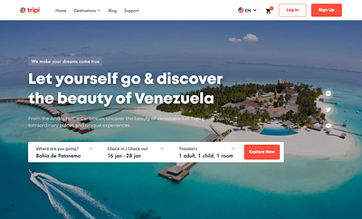 Tripi - Wireframe app product designer travel traveling ui ux web design