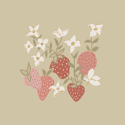 Strawberries illustration