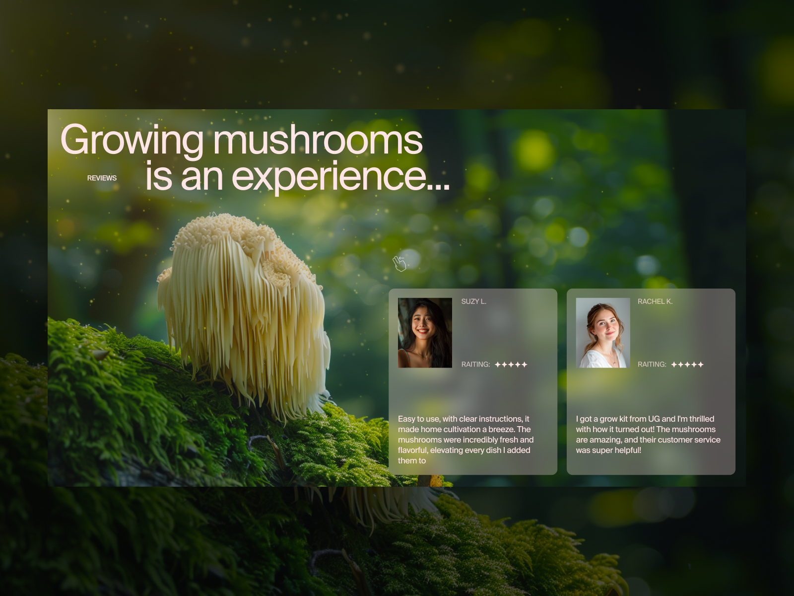 Website Design for a Brand Selling Rare Edible Mushrooms Reviews design ecommerce landingpage typography ui ux web design