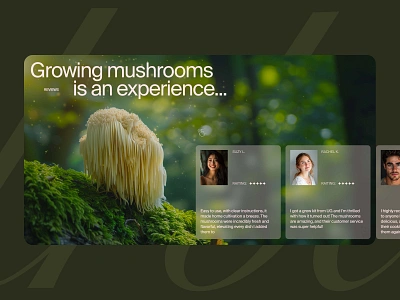 Website Design for a Brand Selling Rare Edible Mushrooms Reviews design ecommerce landingpage typography ui ux web design