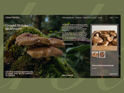 Website Design | Product Page | Rare Edible Mushrooms Brand design ecommerce landingpage typography ui ux web design