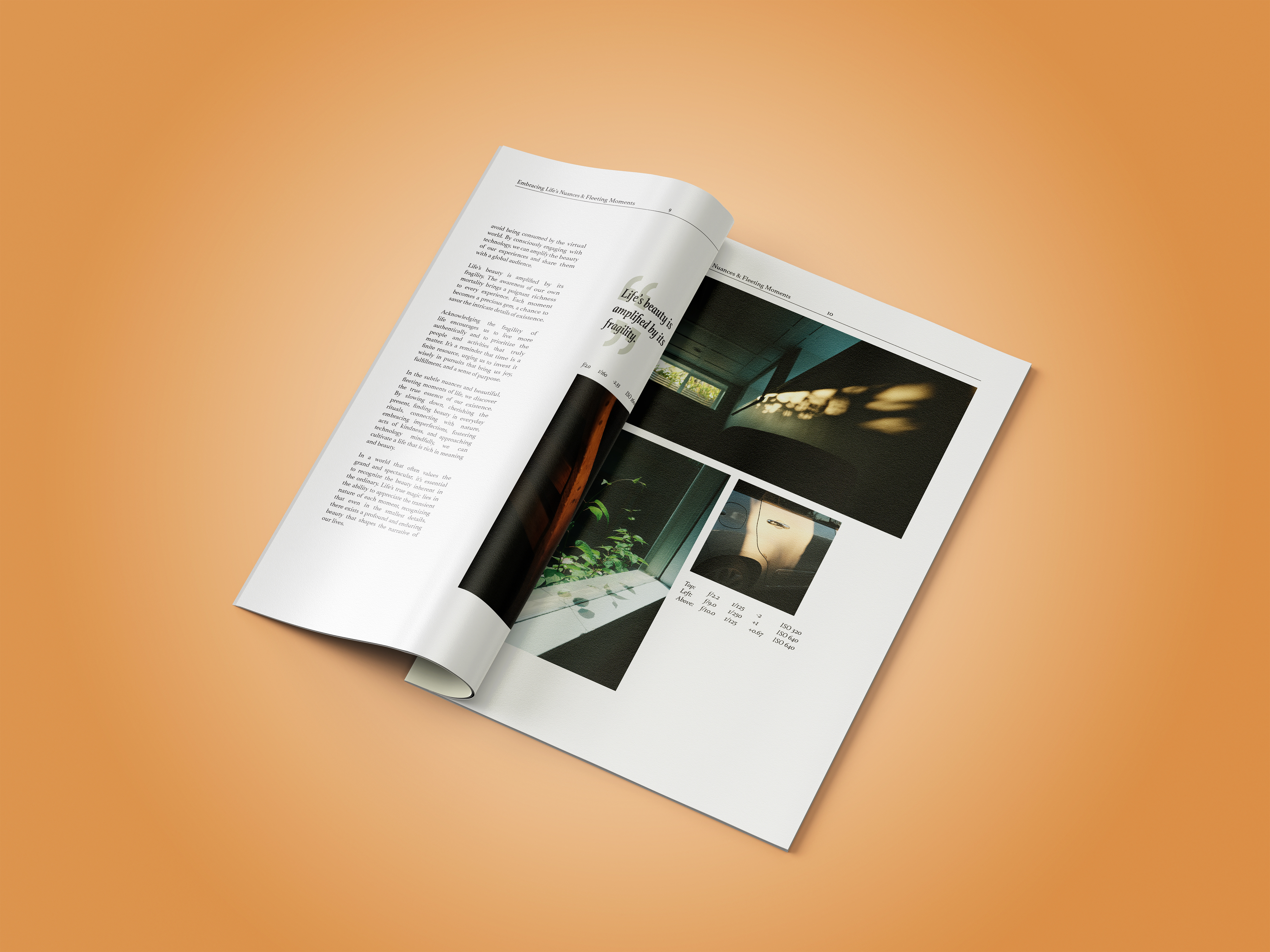 Example of Creating a
Dynamic Issue of
“blip” Magazine