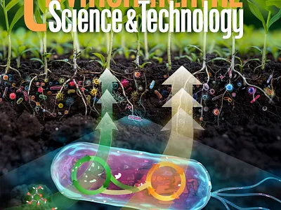 Soil microorganisms research agriculture bacteria biology cover art design graphic design illustration microorganisms science scientific illustration