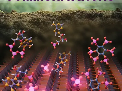 Soil microorganisms research agriculture bacteria biology cover art design graphic design illustration microorganisms science scientific illustration