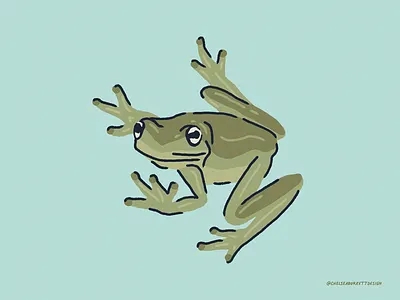 Tree Frog Illustration adobe fresco fresco illustration