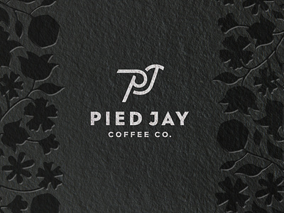 Pied Jay Coffee logo branding design graphic design logo