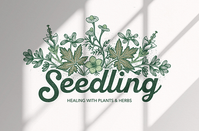 Seedling_Brand Project branding design graphic design illustration logo