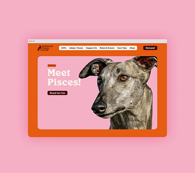 Greyhound Friends for Life: Web branding design dog graphic design greyhound illustration illustrator logo typography ui ux vector web