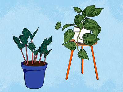 Encouraging Plant Illustration colorful floral greeting cards house plants illustration plants procreate