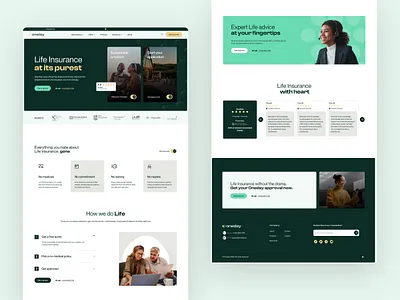 Oneday Branding & Website Design branding design colour palette graphic design website design