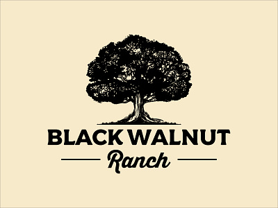 Vector Illustration Walnut Tree agriculture classic farm graphic design illustration logo ranch retro tree vintage walnut