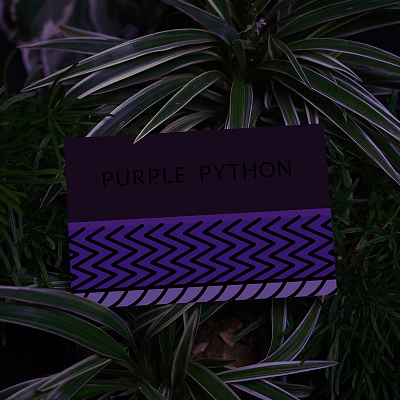 Purple Python Card brand branding card illustration jungle logo logotype purple python snake