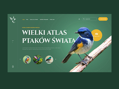 Atlas ptaków design graphic design ui user experience user interface ux webdesign