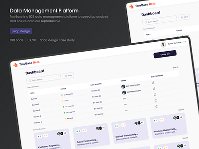 How we made UI/UX design for a B2B SaaS data management platform dashboard data management database design figma interface saas ui uitop uiux user experience ux