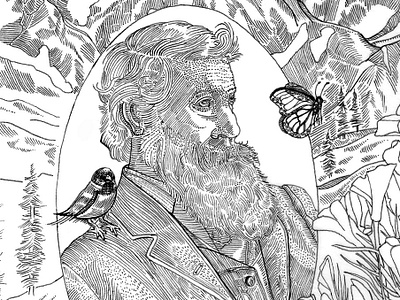 John Muir Klean Kanteen Commission commission illustration ink national parks nature