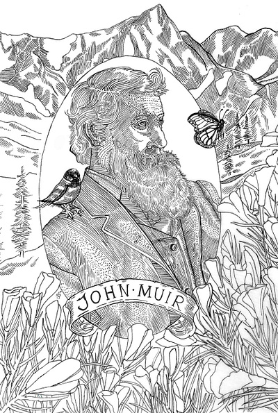 John Muir Klean Kanteen Commission commission illustration ink national parks nature