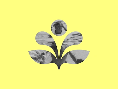 Lokki — Flower of freedom art direction art director brand design brand designer brand identity branding design graphic graphic design illustration laurene calvez nature visual identity yellow